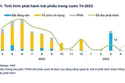 Lô TPDN duy nhất trong tháng 4 có lãi suất 14%/năm