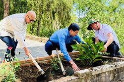 Ra quân trông 1000 cây xanh kỷ niệm 133 năm ngày sinh Chủ tịch Hồ Chí Minh