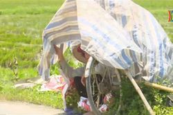 Vật vã mưu sinh trong nắng nóng