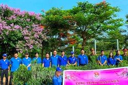 Bạn trẻ Đắk Lắk check in đường hoa đào