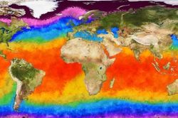 Năm nay chắc chắn sẽ xảy ra hiện tượng El Nino, có thể có các cơn bão nhiệt đới khủng khiếp