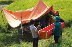Lật máy gặt lúa, người đàn ông tử vong tại chỗ