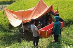 Nghệ An: Lật máy gặt lúa, chủ phương tiện tử vong tại chỗ