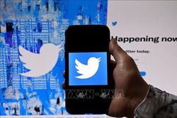 Twitter cáo buộc Microsoft vi phạm quy tắc áp dụng cho các nhà phát triển