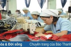 Tinh thần cầu thị