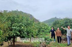 Những 'đầu tàu' ở Thúc Thủy
