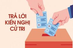 Cập nhật thông tin còn phụ thuộc vào sự phối hợp của người nộp thuế