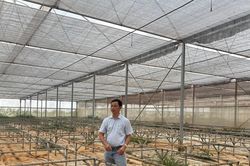 Trang trại nông nghiệp tiền tỷ bỏ hoang do sai pháp lý đầu tư