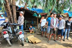 An Giang triệt phá tụ điểm đá gà ăn thua bằng tiền
