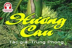Tản văn hay: Hương cau
