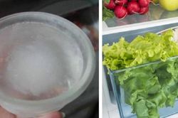 Đặt bát nước vào tủ lạnh, điều kỳ diệu xảy ra khi bạn nhận hóa đơn tiền điện vào cuối tháng