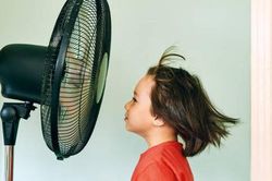 Vì sao trẻ hay bị viêm phế quản khi nắng nóng và những lưu ý khi dùng thuốc