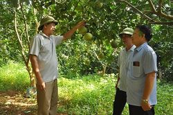 Cựu chiến binh tỉnh Yên Bái cùng nhau phấn đấu vượt nghèo