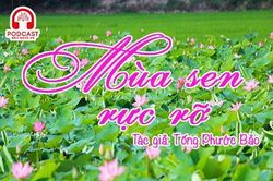 Đọc truyện đêm khuya: Mùa sen rực rỡ