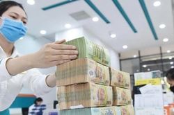 Đừng để 'cá treo mèo nhịn đói'!