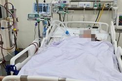 Cứu sống người phụ nữ làm nghề giết mổ lợn