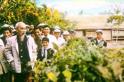Dâng Người niềm tin son sắt