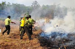 Thanh Hóa: Nghiêm cấm người không phận sự ra, vào rừng