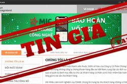 Trung tâm Xử lý tin giả Việt Nam cảnh báo những website chuyên lừa đảo