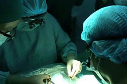 Vụ tạm hoãn ghép gan cho trẻ ở TP.HCM: Bệnh viện nhận trách nhiệm