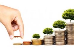 Tại sao doanh nghiệp Việt ít ngồi với nhau để làm việc và cùng phân chia lợi nhuận?