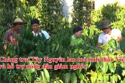 Chàng trai Tây Nguyên lan tỏa tinh thần Việt và hỗ trợ nông dân giảm nghèo