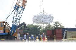 Thời cơ lớn để chuẩn hóa, nâng cấp ngành hàng lúa gạo