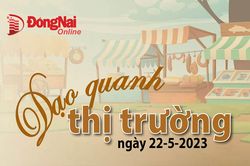 Dạo quanh thị trường ngày 22-5-2023