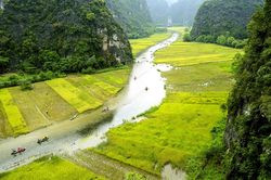 Tuần Du lịch Ninh Bình 2023 'Sắc vàng Tam Cốc - Tràng An'