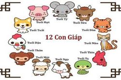 Dự đoán ngày mới 24/05/2023 cho 12 con giáp: Dần gặp may, Thìn trục trặc