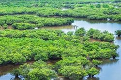 Học sinh tử vong khi tham gia trải nghiệm bắt ngao: Sở GD-ĐT Hà Nội nói gì?