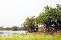 Tạm dừng tham quan Vườn quốc gia Xuân Thủy sau vụ học sinh tử vong
