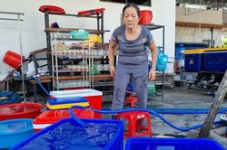 Nhà máy gặp sự cố, dân thiếu nước sạch giữa cái nắng gần 40 độ