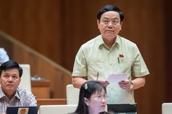 Tuổi thọ các dự án luật ngày càng được 'trẻ hóa'