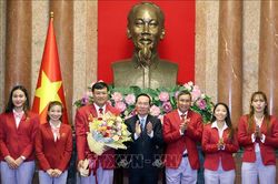 Chủ tịch nước biểu dương các 'gương mặt vàng' của Đoàn Thể thao Việt Nam