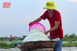 Diêm dân làm muối dưới nắng nóng 40 độ C