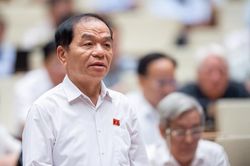 Đại biểu Lê Thanh Vân : Thường xuyên thay đổi chương trình lập pháp dễ dẫn tới 'cài cắm' lợi ích nhóm