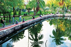 Tận hưởng không gian thư giãn