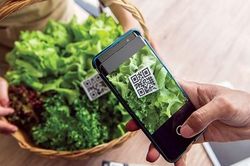 Nâng cao chất lượng mã số vùng trồng