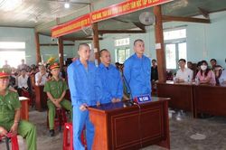 21 năm tù cho 3 đối tượng phá rừng quy mô lớn ở Kon Tum