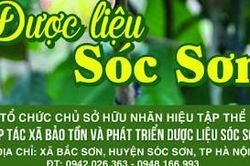 Nước tương công nghiệp giá… hữu cơ