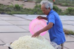 Làng nghề làm muối hối hả thu hoạch 'nắng'