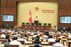 Nhiều vi phạm mua sắm, đấu thầu bắt nguồn chính từ giá gói thầu
