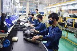 Doanh nghiệp phá sản hàng loạt do chính sách hỗ trợ tín dụng không hiệu quả?