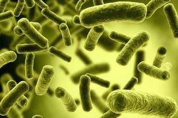 Độc tố clostridium botulinum nguy hiểm như thế nào?