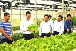 Khởi động Giải thưởng Bông lúa vàng Việt Nam lần thứ 4