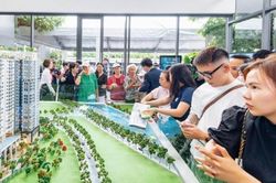 49% các nhà môi giới đánh giá chung cư là loại hình bất động sản tiềm năng nhất năm 2023