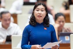 ĐBQH Lê Thị Song An (Long An): Cần làm rõ một số hành vi bị cấm trong Dự thảo Luật Đấu thầu (sửa đổi)