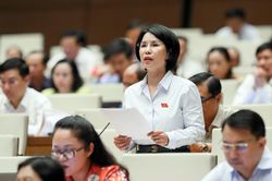 Vi phạm mua sắm chủ yếu đến từ giá gói thầu