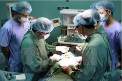 Tuân thủ quy định nhưng không được làm gián đoạn việc ghép gan cho trẻ em